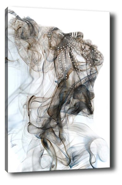 ASIR Obraz na plátně KOUŘ 70 x 100 cm