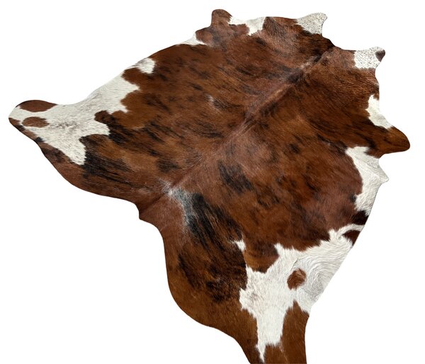 Koberec kusový hovězí kůže 2,9 m2, exotic tricolor 044