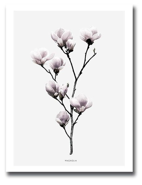 ASIR Obraz na MDF MAGNOLIE 30 x 40 cm