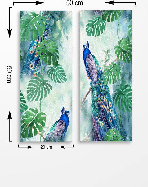ASIR Obraz na MDF 2ks PÁVI A MONSTERA 20 x 50 cm