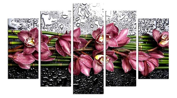ASIR Obraz na MDF 5ks ORCHIDEA 20 x 60 (1) 20 x 50 (2) 20 x 40 cm (2)