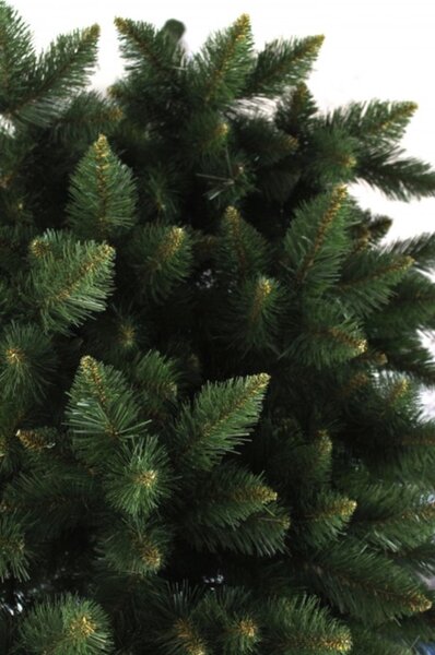Vánoční stromek borovice himálajská zelená DELUX 200 cm