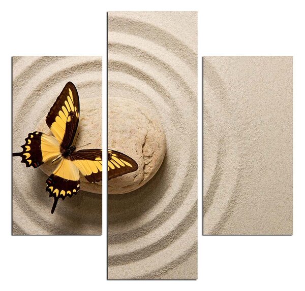 ASIR Obraz na MDF 3ks MOTÝL NA OBLÁZKU 20 x 60 cm (1) 20 x 40 cm (2)