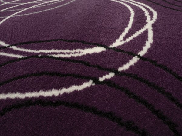 Alfa Carpets, Kusový koberec Circles lila, 120x170, fialová, chodba / předsíň