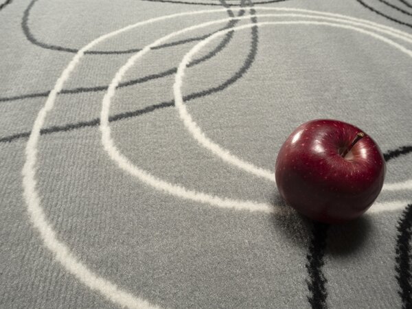 Alfa Carpets, Kusový koberec Circles grey, 80x150, šedá, chodba / předsíň