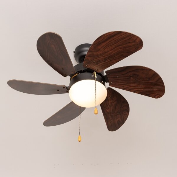 ZEVENTI - Stropní ventilátor FAMARA 1xE14/60W/230V
