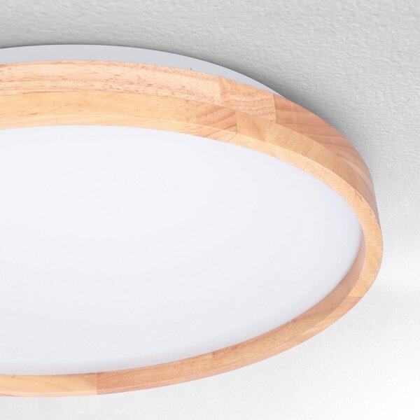 Brilagi - LED Stmívatelné stropní svítidlo ALSON LED/48W/230V 3000-6500K + DO