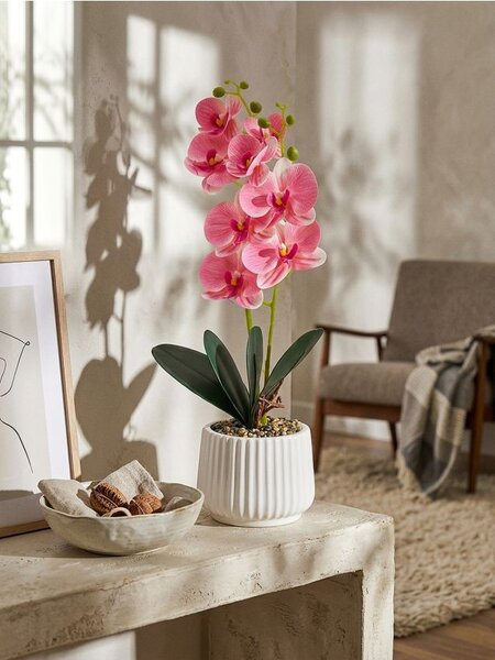 Sinsay - Decorative plant in a pot - pastelová růžová