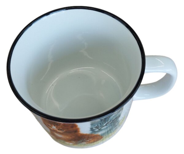 Hrnek Kočky 450 ml 2000636