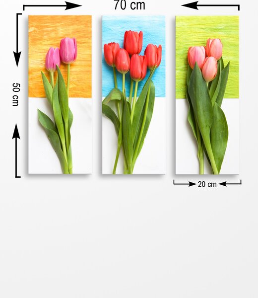 ASIR Obraz na MDF 3ks TULIPÁNY 20 x 50 cm