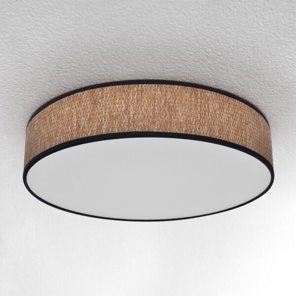 Brilagi - LED Stmívatelné stropní svítidlo ADELA LED/48W/230V 3000-6500K + DO
