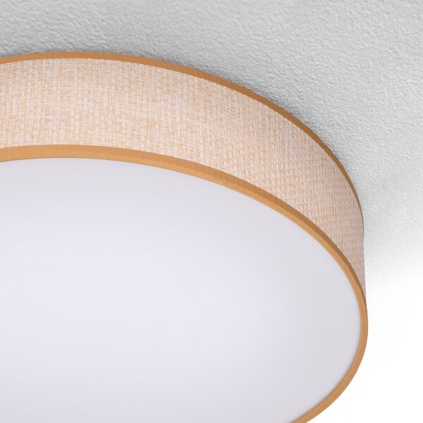 Brilagi - LED Stmívatelné stropní svítidlo CARMEN LED/48W/230V 3000-6500K + DO
