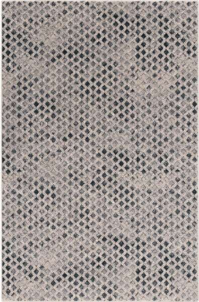 Vlněný koberec 80x150 cm Fridia – Agnella