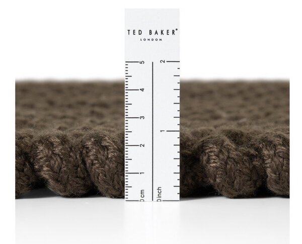 Tmavě hnědý vnitřní a venkovní běhoun 80x250 cm Southwark – Ted Baker
