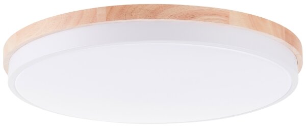 Brilliant - LED Stm stropní svítidlo BAARLO LED/36W/230V pr. 50 cm bílá + DO