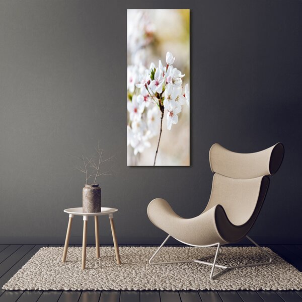 Vertikální Foto obraz canvas Květy višně ocv-100965392