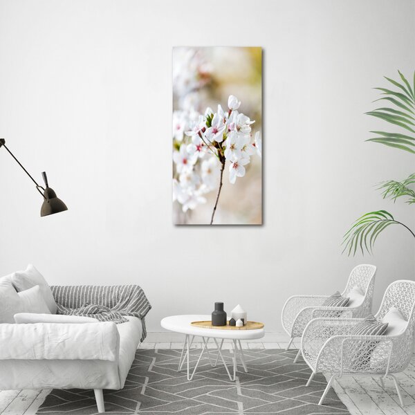 Vertikální Foto obraz canvas Květy višně ocv-100965392