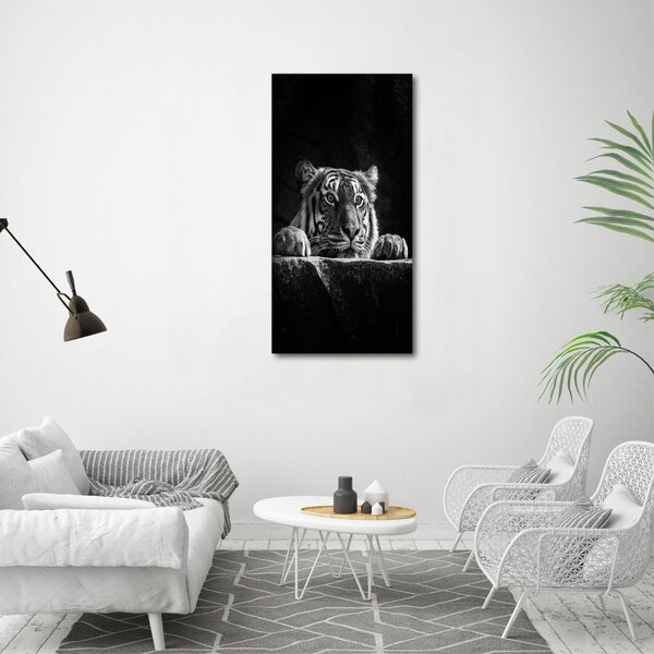 Vertikální Moderní fotoobraz canvas na rámu Tygr ocv-101258480