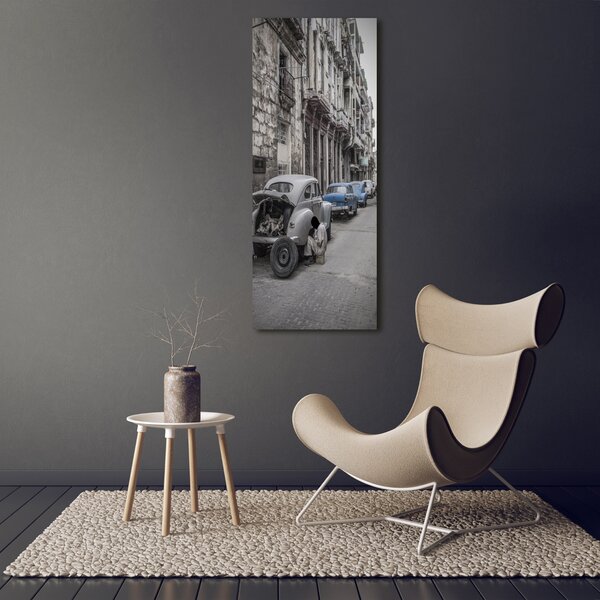 Vertikální Moderní fotoobraz canvas na rámu Havana ocv-101247780