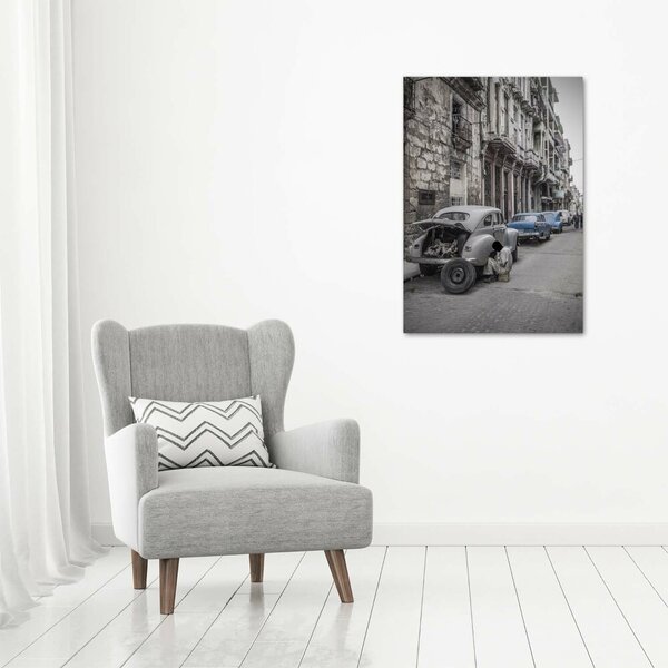 Vertikální Moderní fotoobraz canvas na rámu Havana ocv-101247780