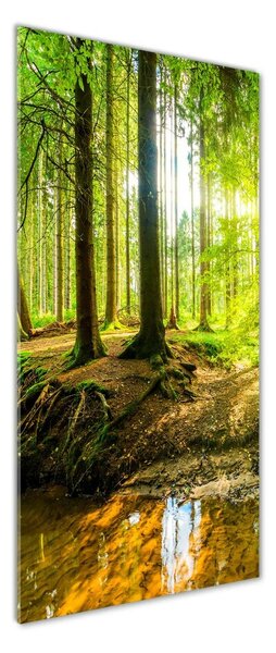 Vertikální Foto obraz fotografie na skle Slunce v lese osv-101332192