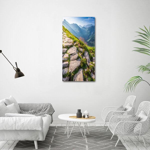Vertikální Foto obraz canvas Horská stezka ocv-101364887