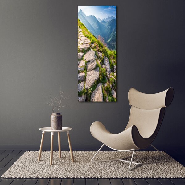 Vertikální Foto obraz canvas Horská stezka ocv-101364887