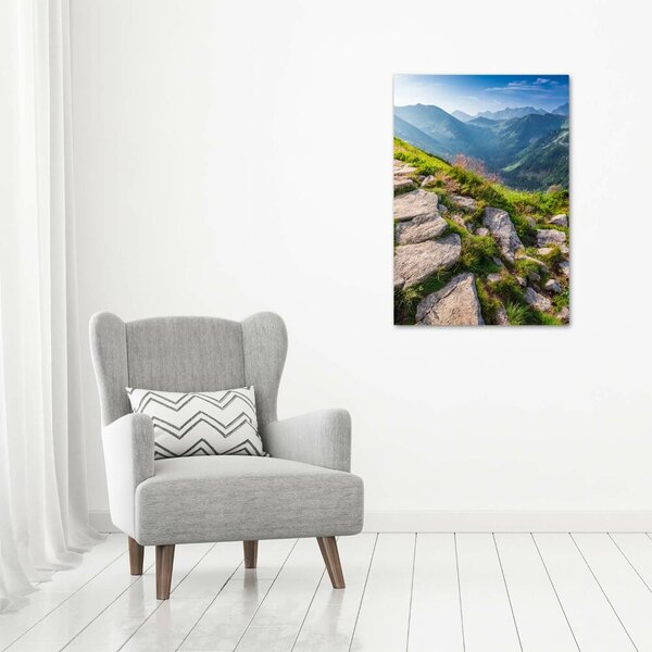 Vertikální Foto obraz canvas Horská stezka ocv-101364887