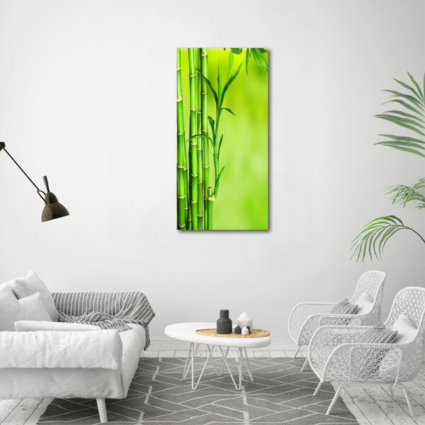 Vertikální Moderní fotoobraz canvas na rámu Bambus ocv-101574587