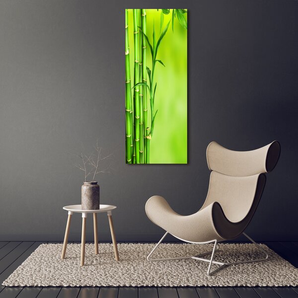 Vertikální Moderní fotoobraz canvas na rámu Bambus ocv-101574587