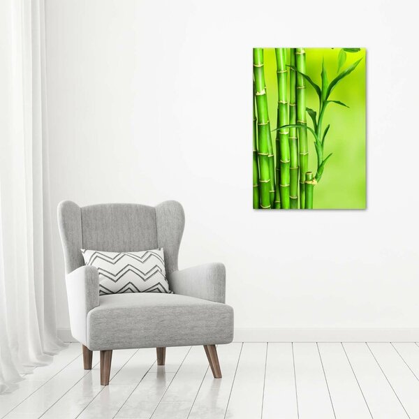 Vertikální Moderní fotoobraz canvas na rámu Bambus ocv-101574587