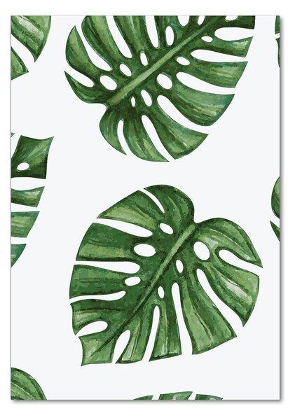 Vertikální Foto-obrah sklo tvrzené Monstera osv-101795652