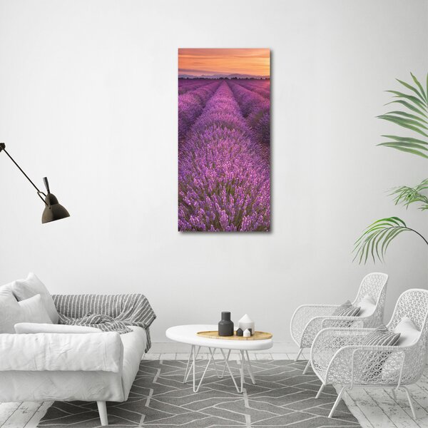Vertikální Foto obraz canvas Pole levandule ocv-102438053