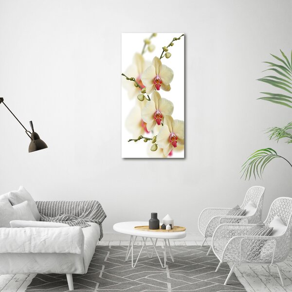 Vertikální Vertikální Foto obraz na plátně do obýváku Orchidej ocv-102443917