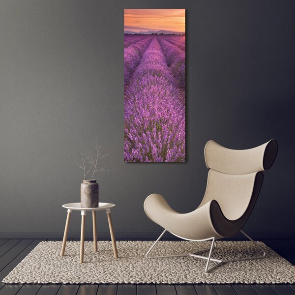 Vertikální Foto obraz canvas Pole levandule ocv-102438053