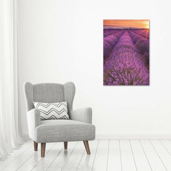 Vertikální Foto obraz canvas Pole levandule ocv-102438053