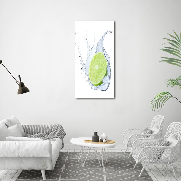 Vertikální Moderní obraz canvas na rámu Limetka ocv-102715406