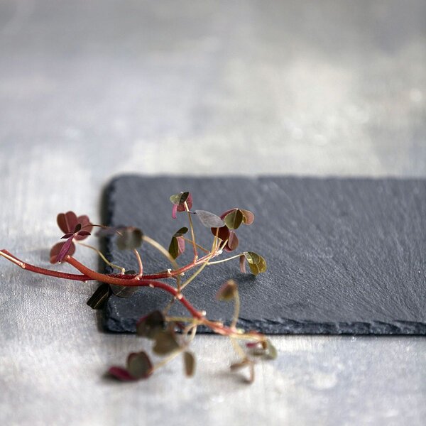 Břidlicová servírovací podložka Slate 20 × 12 cm
