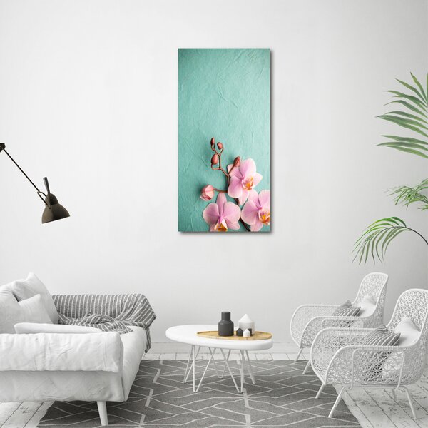 Vertikální Foto obraz na plátně Růžová orchidej ocv-102905480