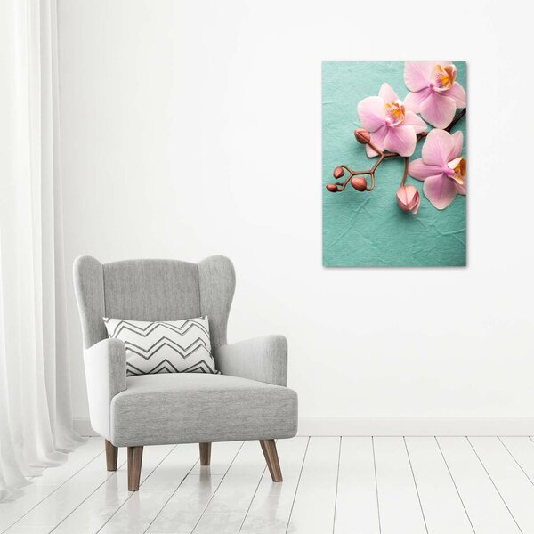 Vertikální Foto obraz na plátně Růžová orchidej ocv-102905480