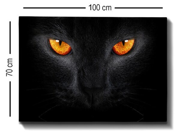 ASIR Obraz na plátně GEPARD 70 x 100 cm