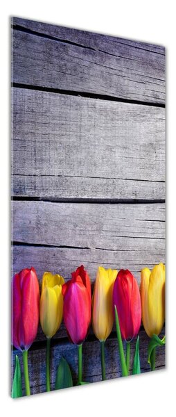 Vertikální Fotoobraz na skle Barevné tulipány osv-103218042