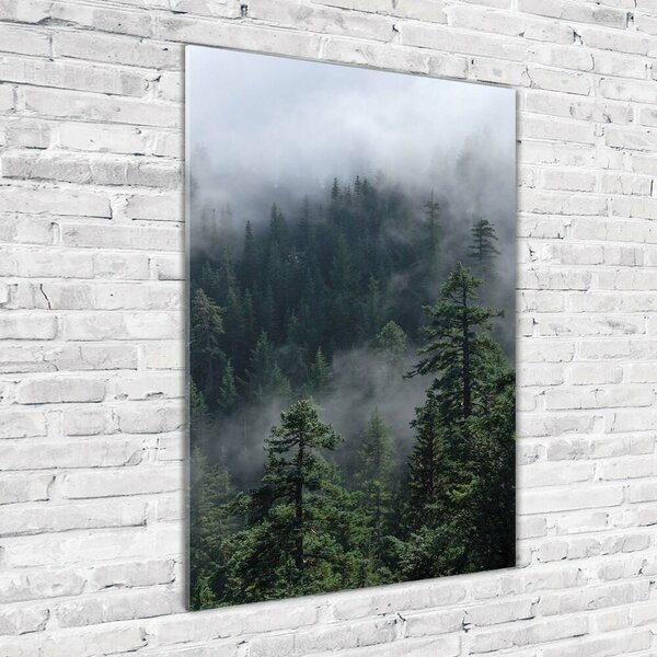 Vertikální Foto obraz fotografie na skle Mlha nad lesem osv-103817714