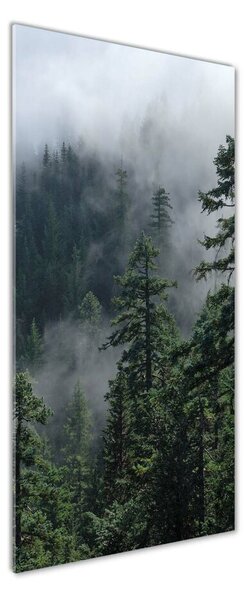 Vertikální Foto obraz fotografie na skle Mlha nad lesem osv-103817714
