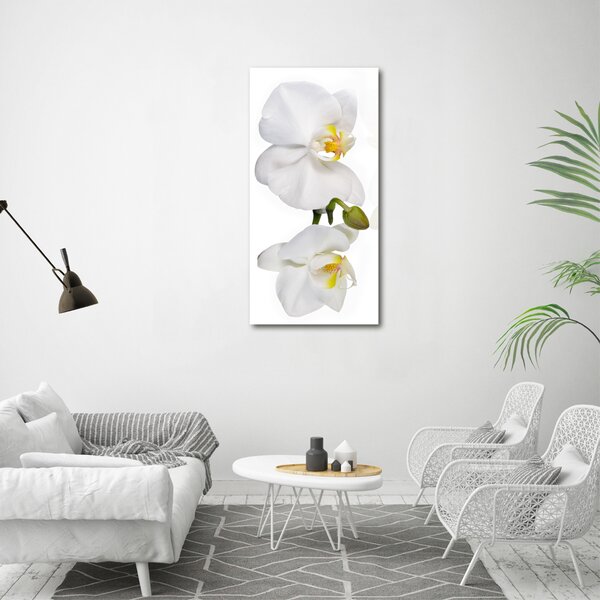 Vertikální Foto obraz na plátně Bílá orchidej ocv-103920801