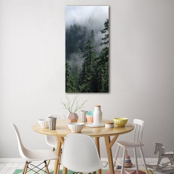 Vertikální Foto obraz fotografie na skle Mlha nad lesem osv-103817714