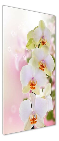 Vertikální Foto obraz fotografie na skle Bílá orchidej osv-103974386