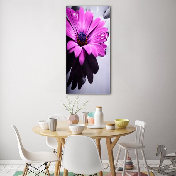 Vertikální Foto obraz fotografie na skle Růžová gerbera osv-104053300