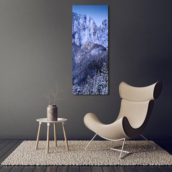 Vertikální Foto obraz na plátně Gievont Tatry ocv-104104346