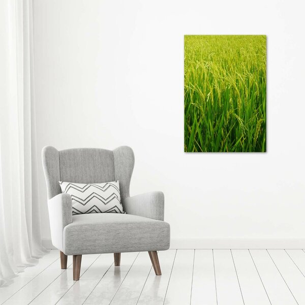 Foto-obraz canvas do obýváku Plantáž rýže ocv-104337572